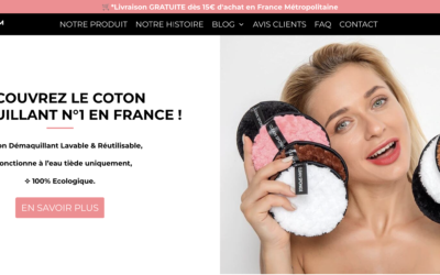 Clean Sponge : mon laboratoire géant du SEO, du e-commerce et de l’exécution digitale