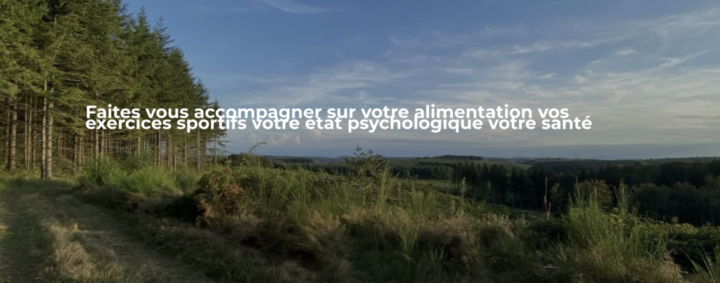 Naturopathe Toulouse : comment j’ai construit une plateforme SEO puissante dans un marché fermé et complexe 2 Capture decran 2025 12 09 a 10.38.07